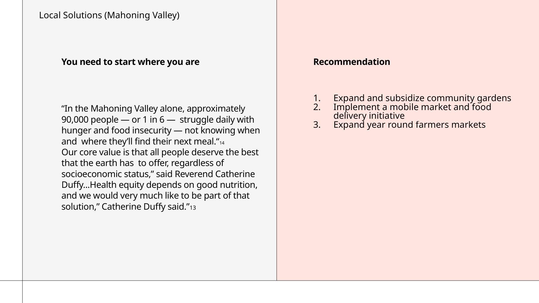 Report slide with Mahoning Valley food insecurity recommendations